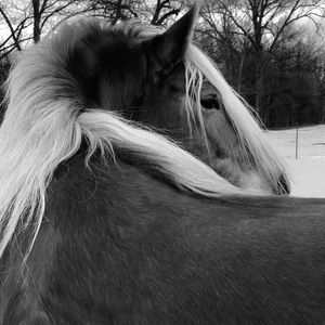 Meet your Posher, Rachael